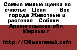 Самые милые щенки на счастье › Цена ­ 1 - Все города Животные и растения » Собаки   . Архангельская обл.,Мирный г.